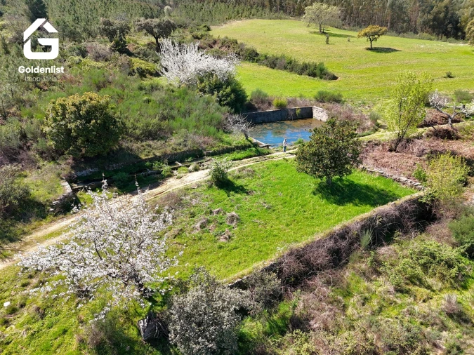 Quinta T0 para Venda em Penamacor Foto 5