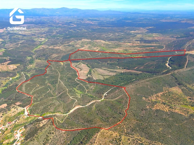 Quinta T0 para Venda em Penamacor Foto 14