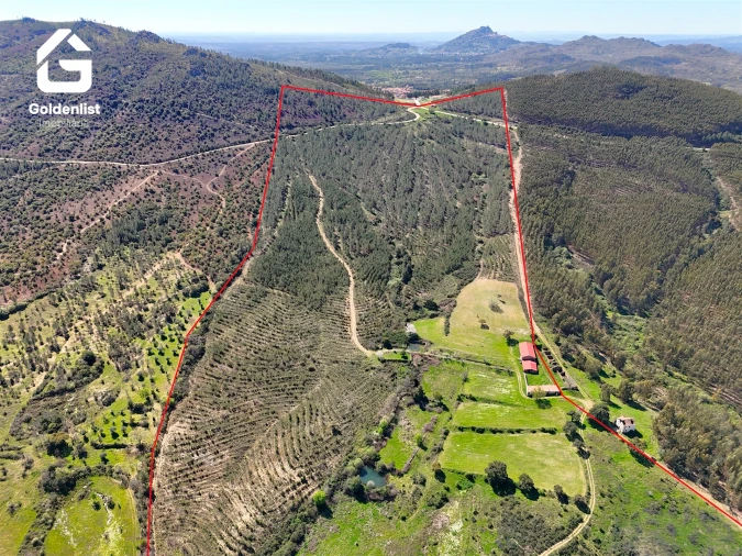 Quinta T0 para Venda em Penamacor Foto 2