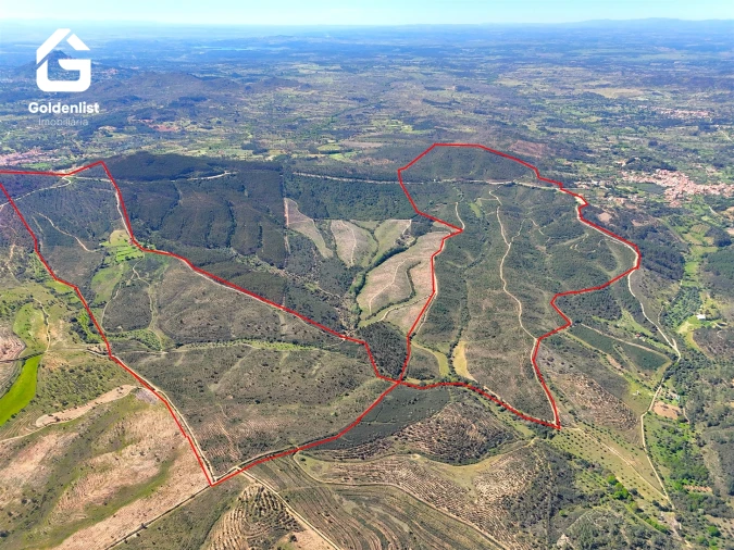 Quinta T0 para Venda em Penamacor Foto 37