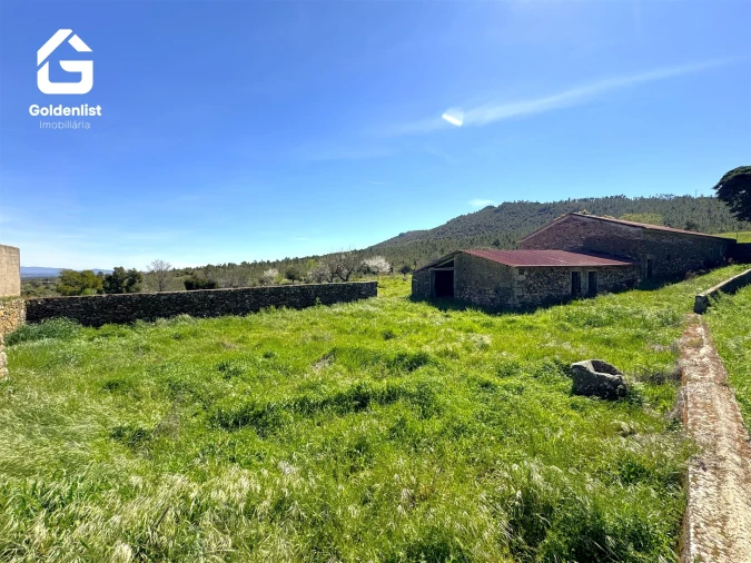 Quinta T0 para Venda em Penamacor Foto 18