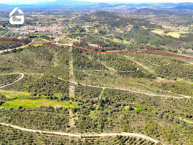 Quinta T0 para Venda em Penamacor Foto 39