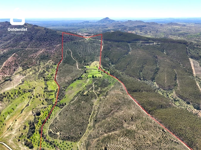 Quinta T0 para Venda em Penamacor Foto 35