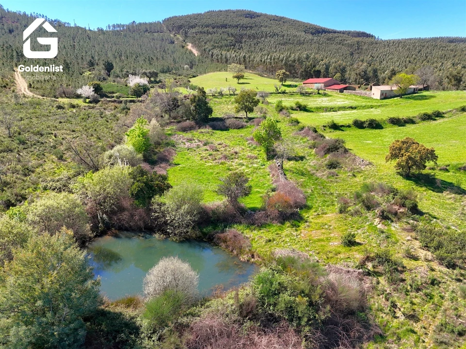 Quinta T0 para Venda em Penamacor Foto 4