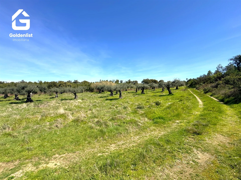 Quinta T0 para Venda em Penamacor Foto 29