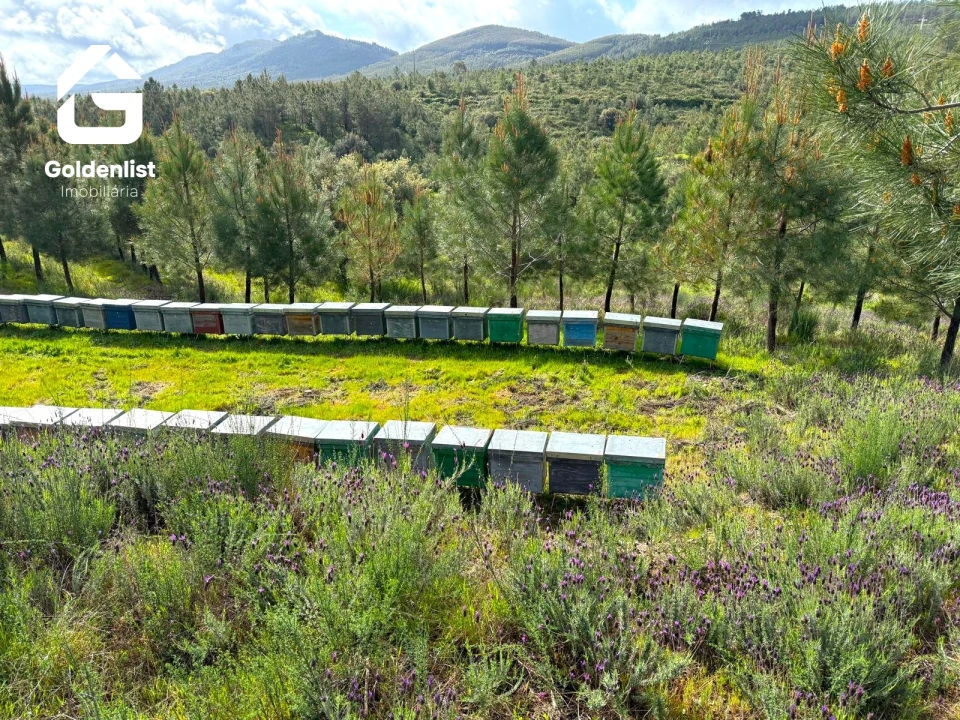 Quinta T0 para Venda em Penamacor Foto 7