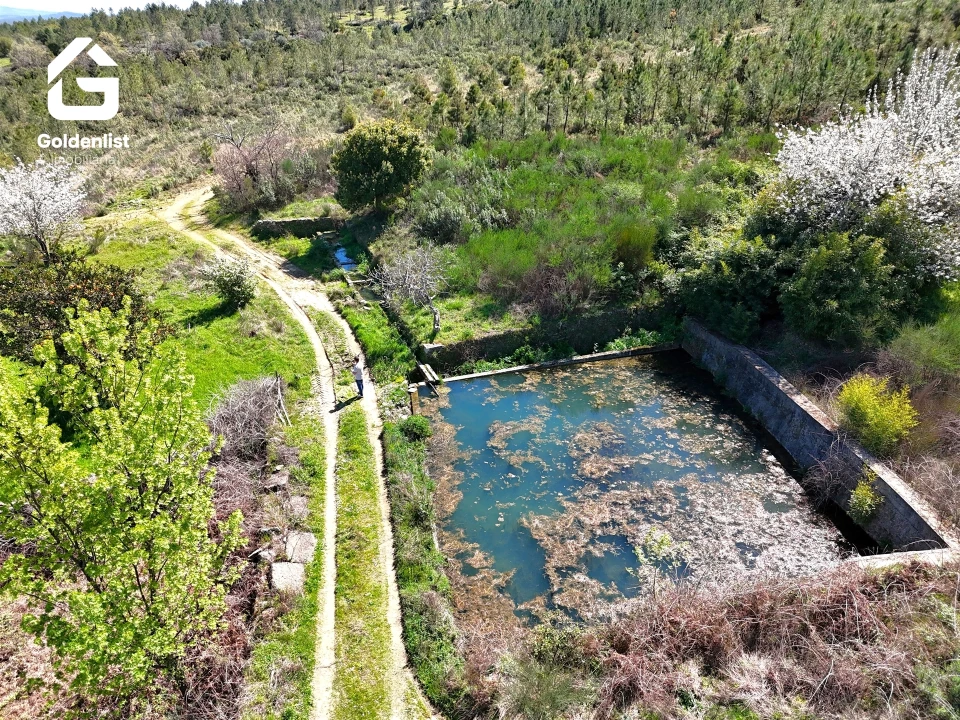 Quinta T0 para Venda em Penamacor Foto 6