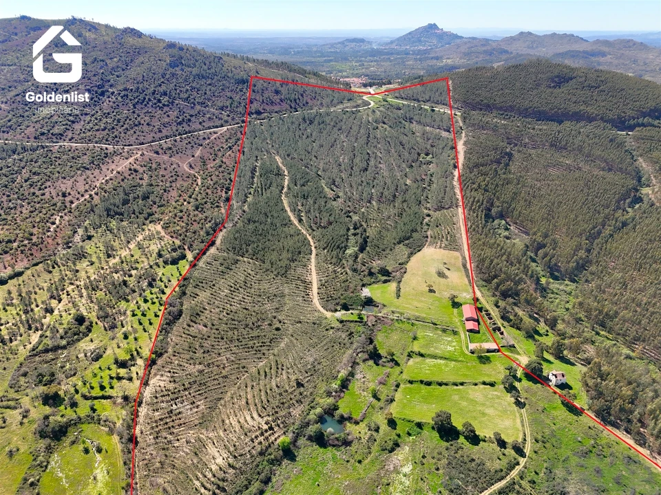 Quinta T0 para Venda em Penamacor Foto 2