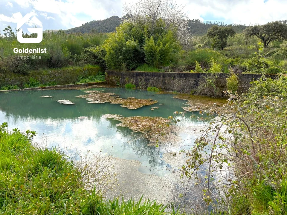 Quinta T0 para Venda em Penamacor Foto 43