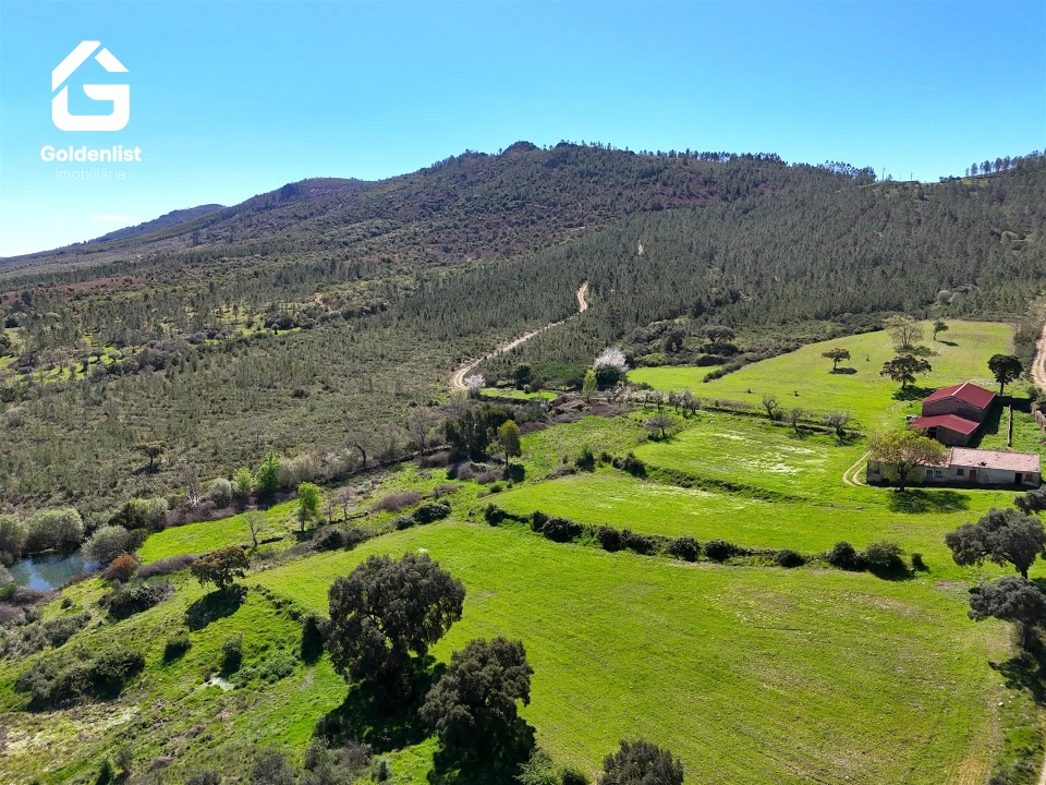 Quinta T0 para Venda em Penamacor Foto 3