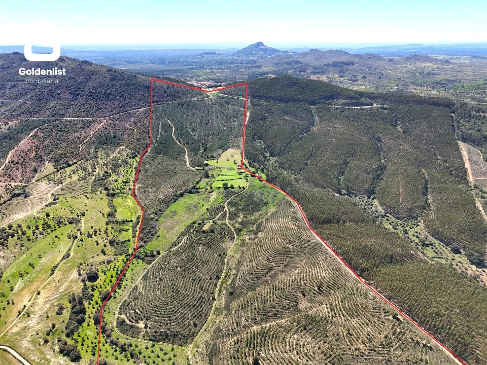 Quinta T0 para Venda em Penamacor Foto 35