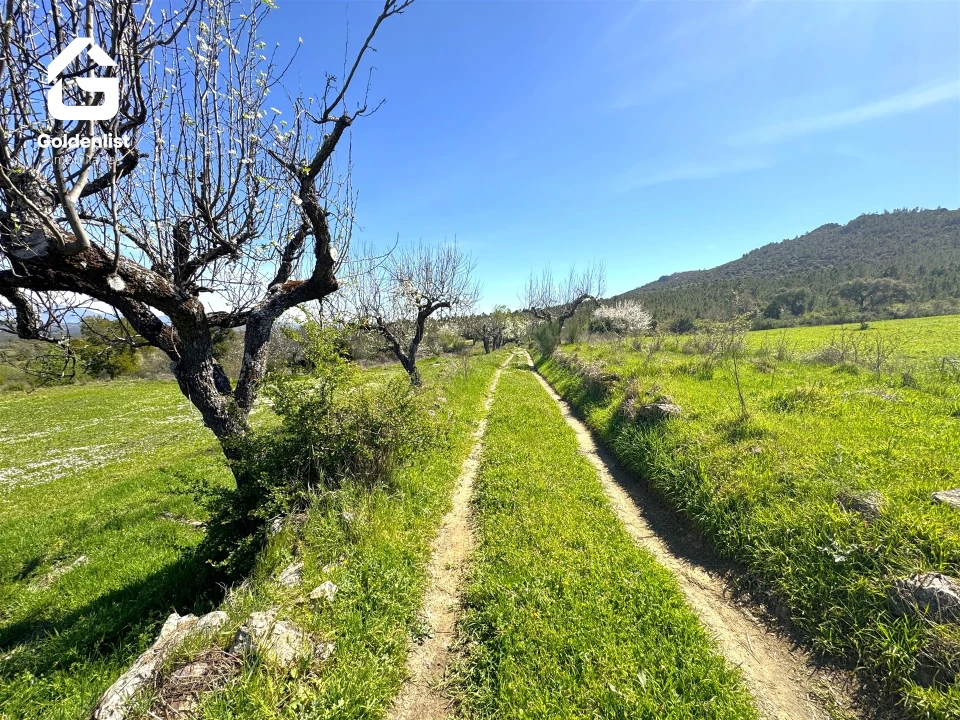 Quinta T0 para Venda em Penamacor Foto 27