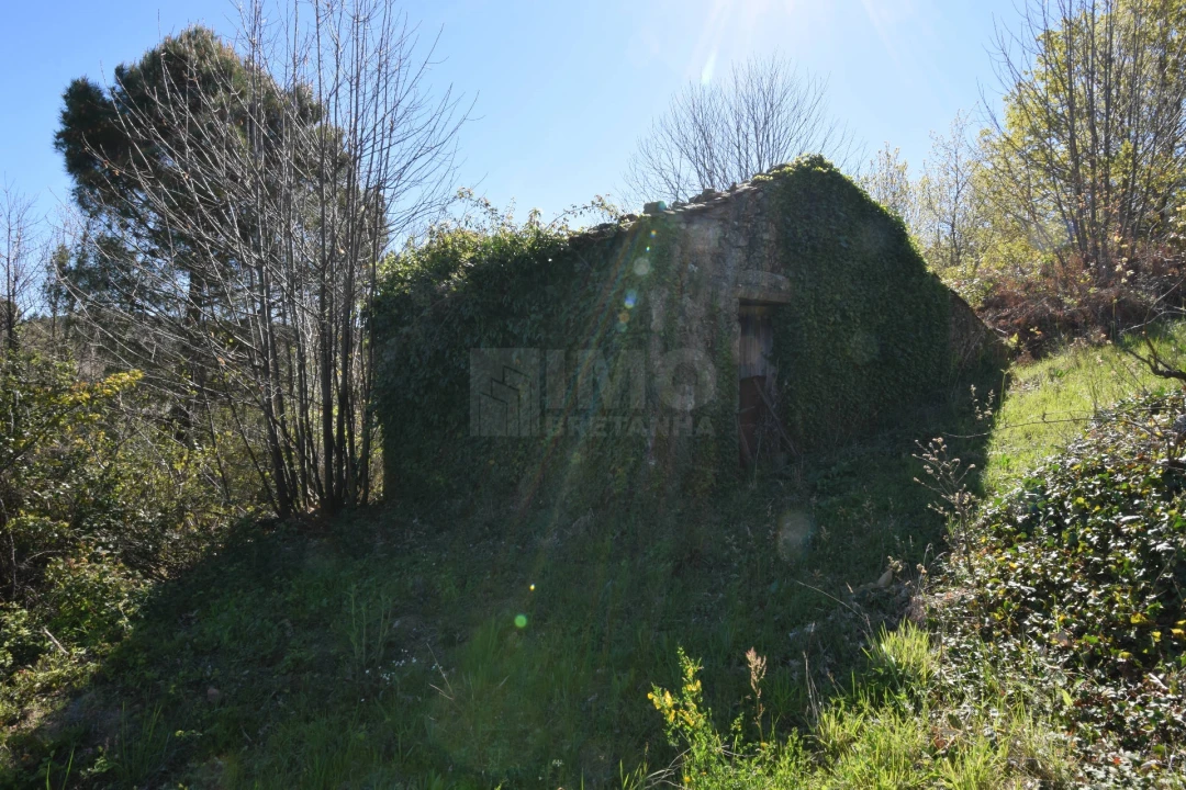 Terreno Agricola ou Rústico para Venda em Alcaide Foto 45
