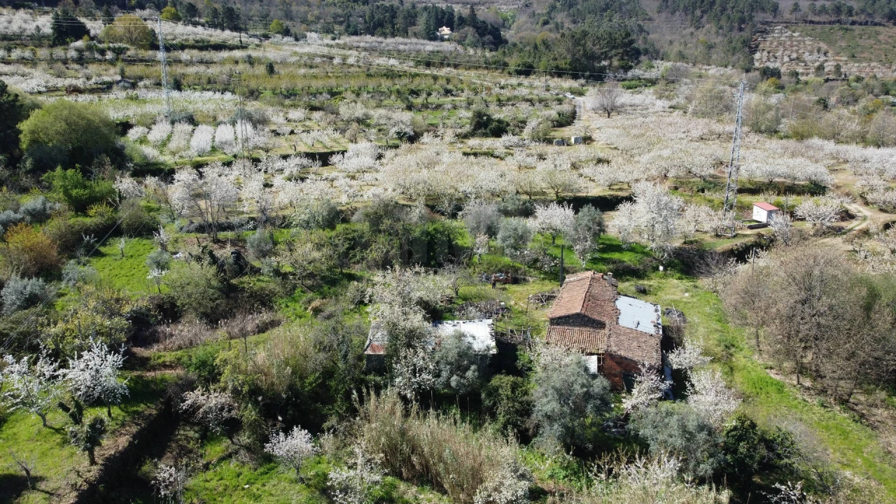 Terreno Agricola ou Rústico para Venda em Alcaide Foto 5