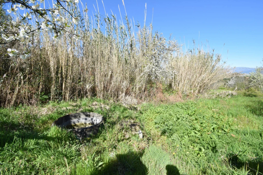 Terreno Agricola ou Rústico para Venda em Alcaide Foto 35