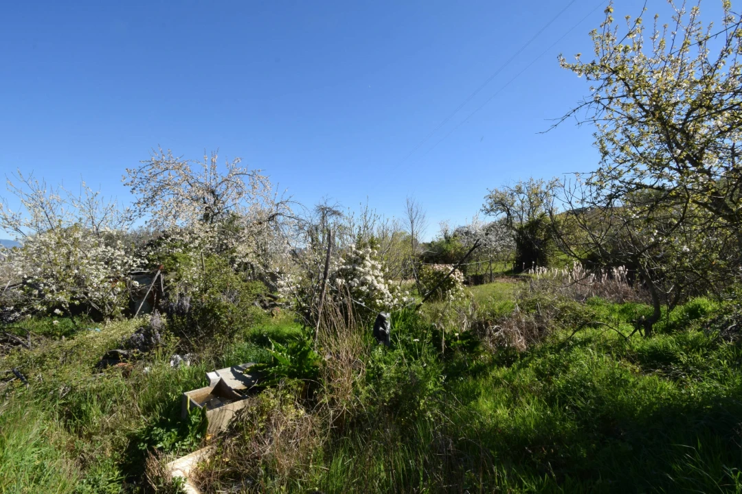 Terreno Agricola ou Rústico para Venda em Alcaide Foto 18