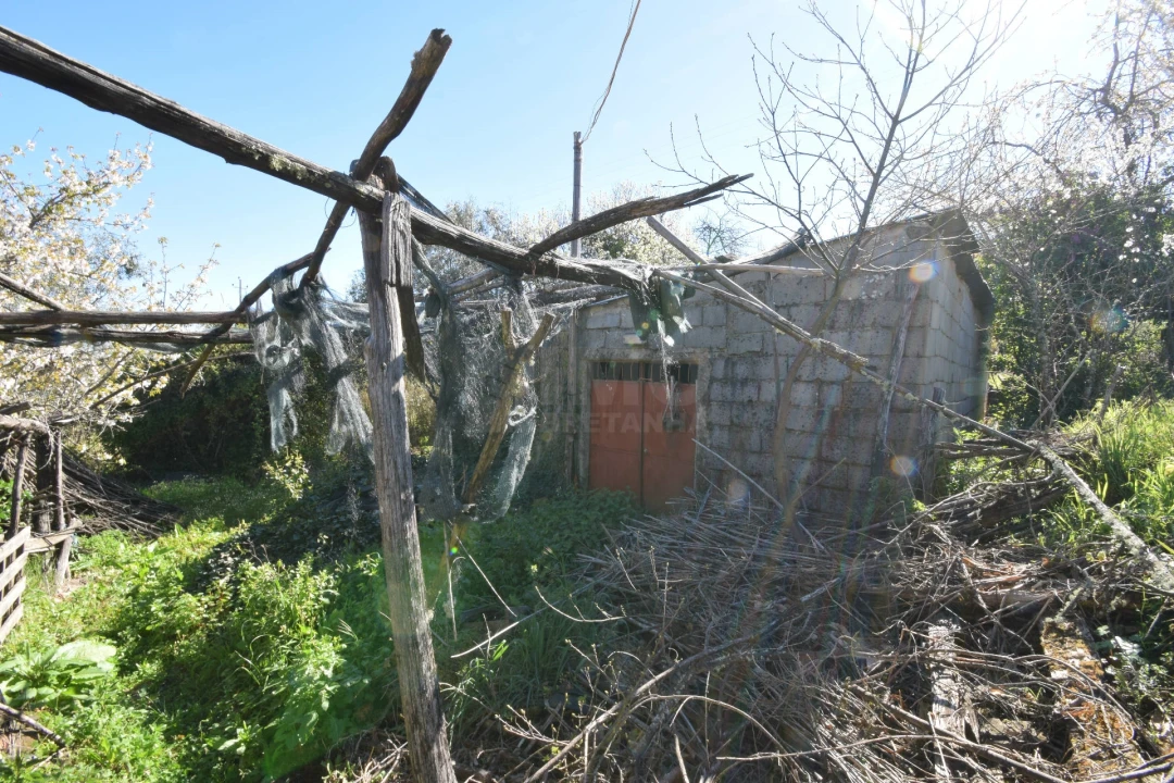 Terreno Agricola ou Rústico para Venda em Alcaide Foto 26