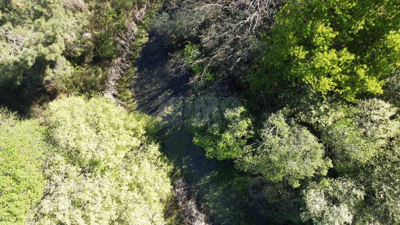 Terreno Agricola ou Rústico para Venda em Alcaide Foto 7