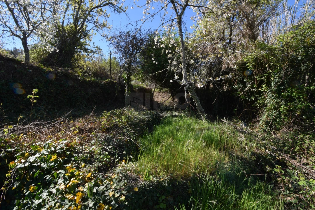 Terreno Agricola ou Rústico para Venda em Alcaide Foto 33