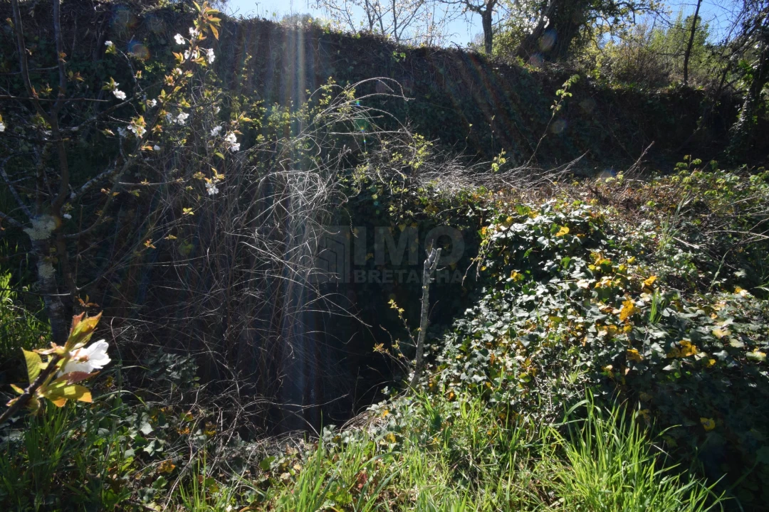 Terreno Agricola ou Rústico para Venda em Alcaide Foto 32