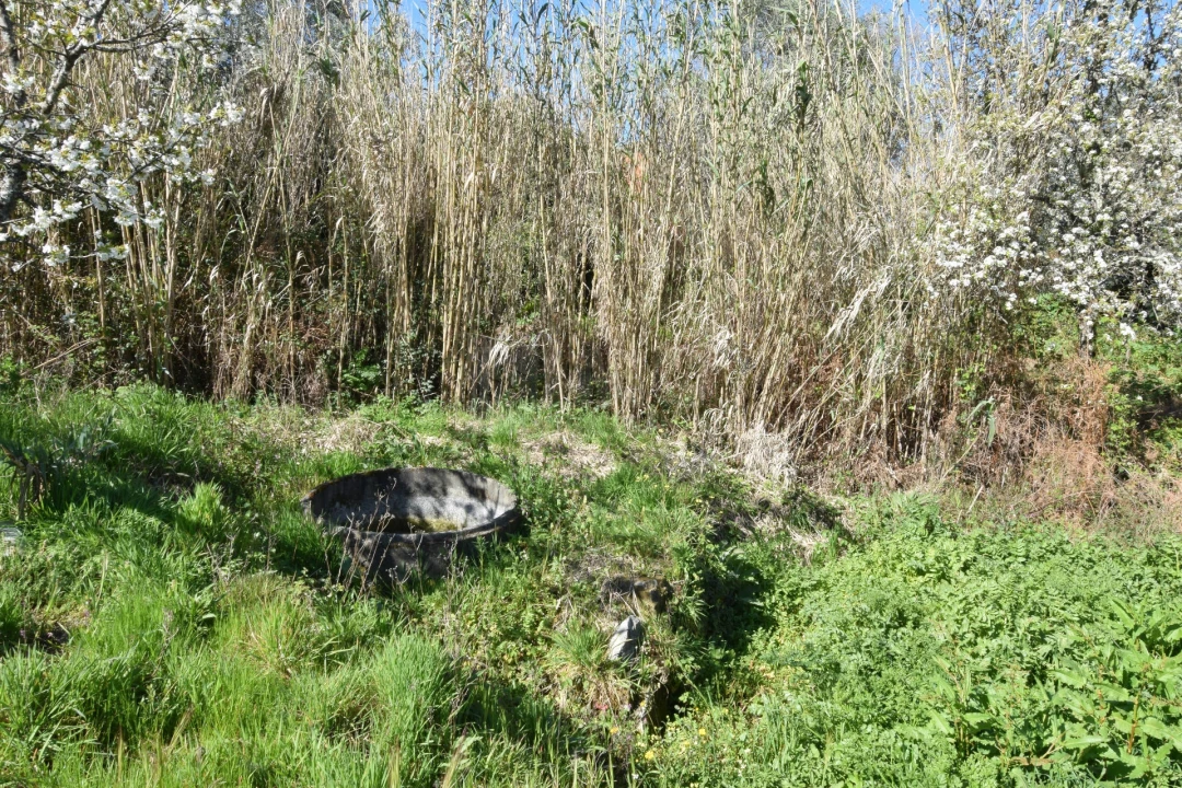 Terreno Agricola ou Rústico para Venda em Alcaide Foto 38