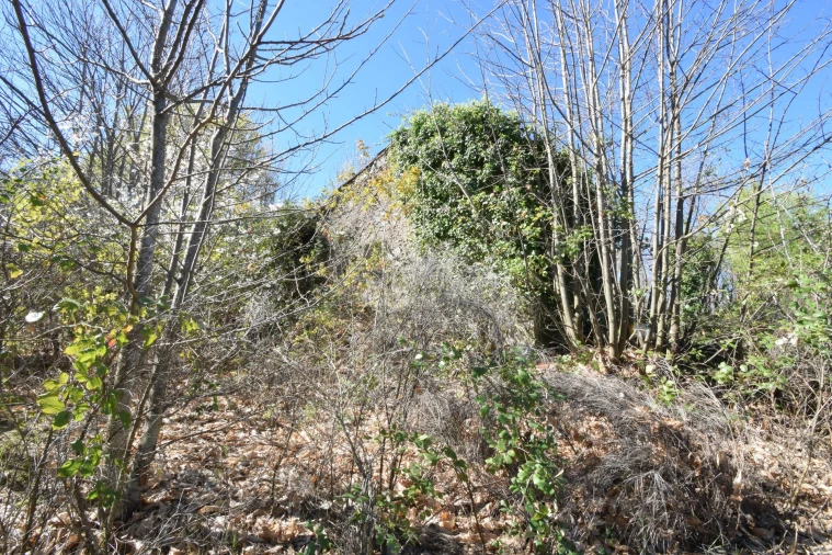 Terreno Agricola ou Rústico para Venda em Alcaide Foto 47