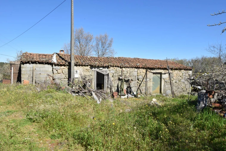 Terreno Agricola ou Rústico para Venda em Alcaide Foto 19