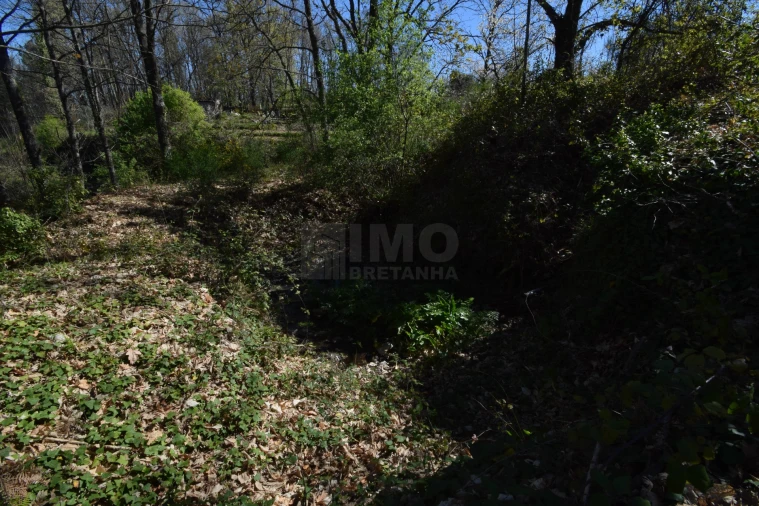 Terreno Agricola ou Rústico para Venda em Alcaide Foto 54