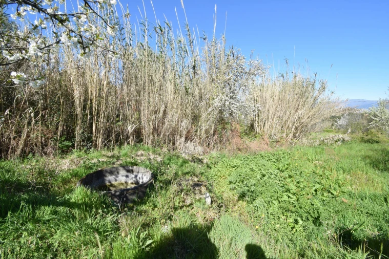 Terreno Agricola ou Rústico para Venda em Alcaide Foto 35