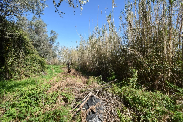 Terreno Agricola ou Rústico para Venda em Alcaide Foto 31