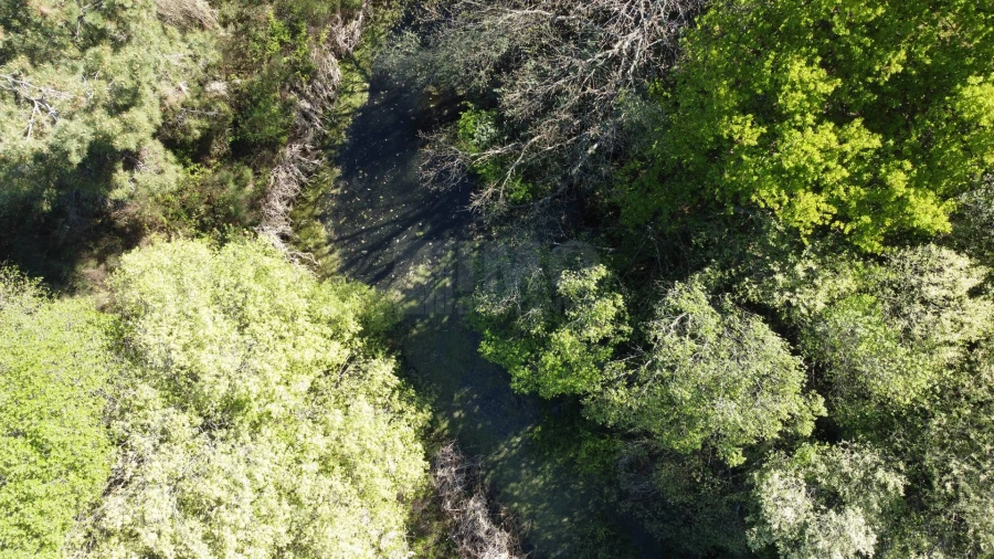 Terreno Agricola ou Rústico para Venda em Alcaide Foto 7