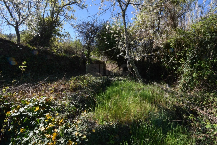 Terreno Agricola ou Rústico para Venda em Alcaide Foto 33