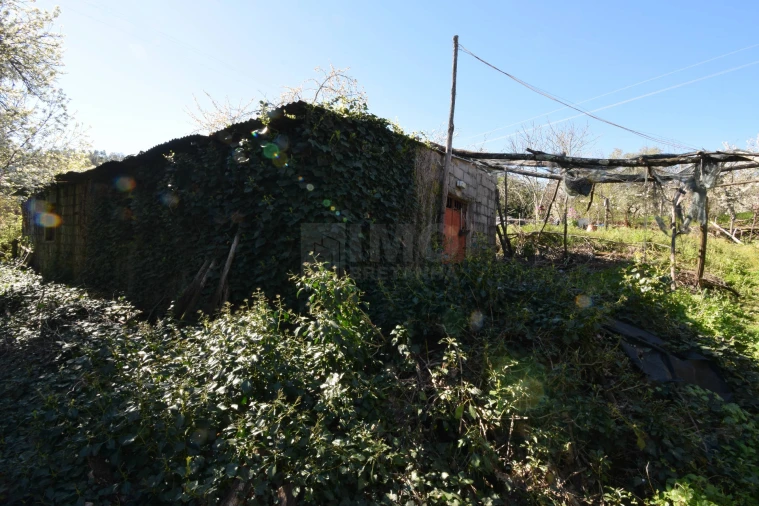 Terreno Agricola ou Rústico para Venda em Alcaide Foto 28