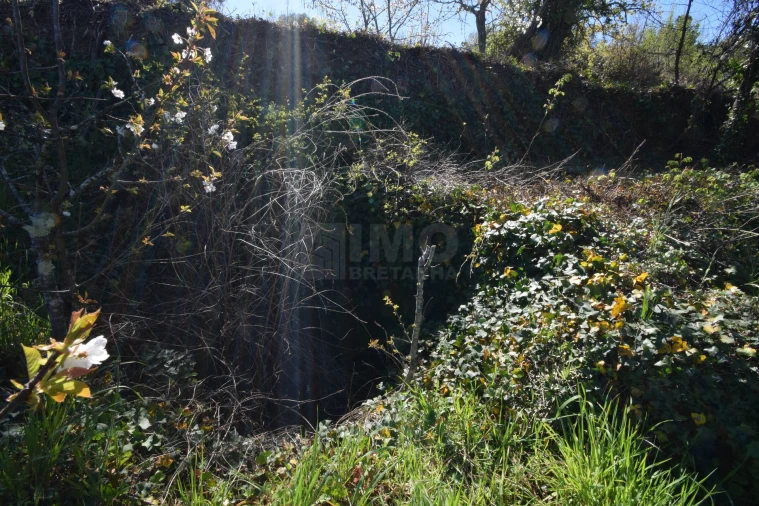 Terreno Agricola ou Rústico para Venda em Alcaide Foto 32