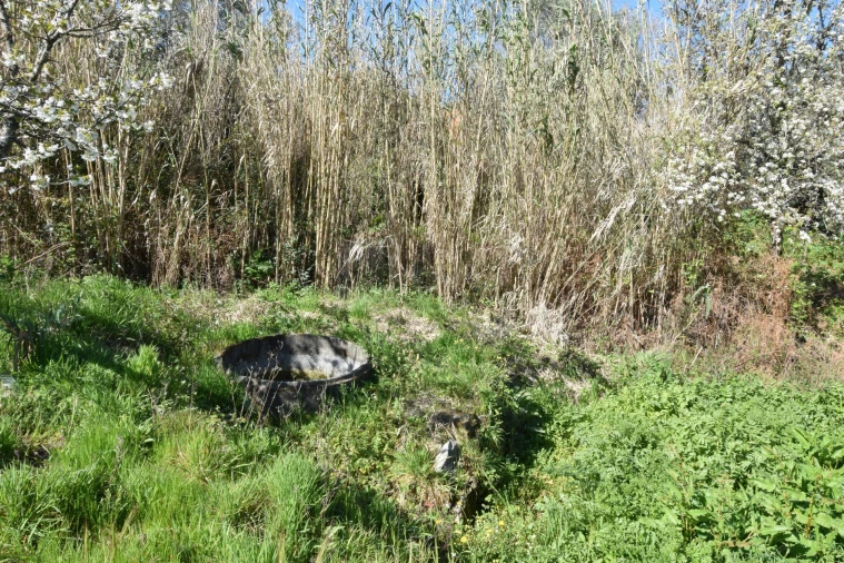 Terreno Agricola ou Rústico para Venda em Alcaide Foto 38