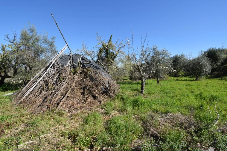 Terreno Agricola ou Rústico para Venda em Alcaide Foto 17