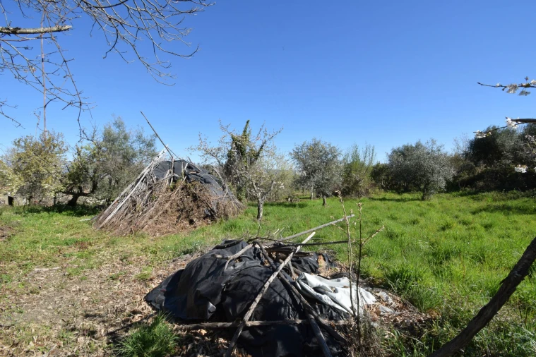 Terreno Agricola ou Rústico para Venda em Alcaide Foto 16