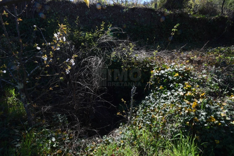 Terreno Agricola ou Rústico para Venda em Alcaide Foto 34