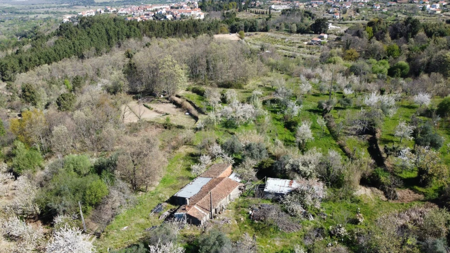 Terreno Agricola ou Rústico para Venda em Alcaide Foto 3