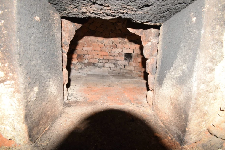 Terreno Agricola ou Rústico para Venda em Alcaide Foto 20