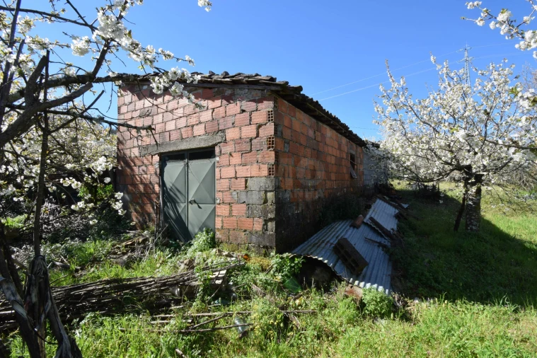 Terreno Agricola ou Rústico para Venda em Alcaide Foto 29