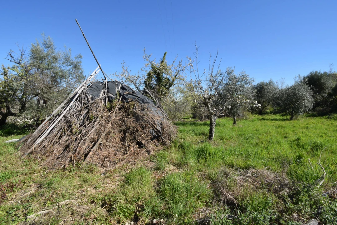 Terreno Agricola ou Rústico para Venda em Alcaide Foto 17