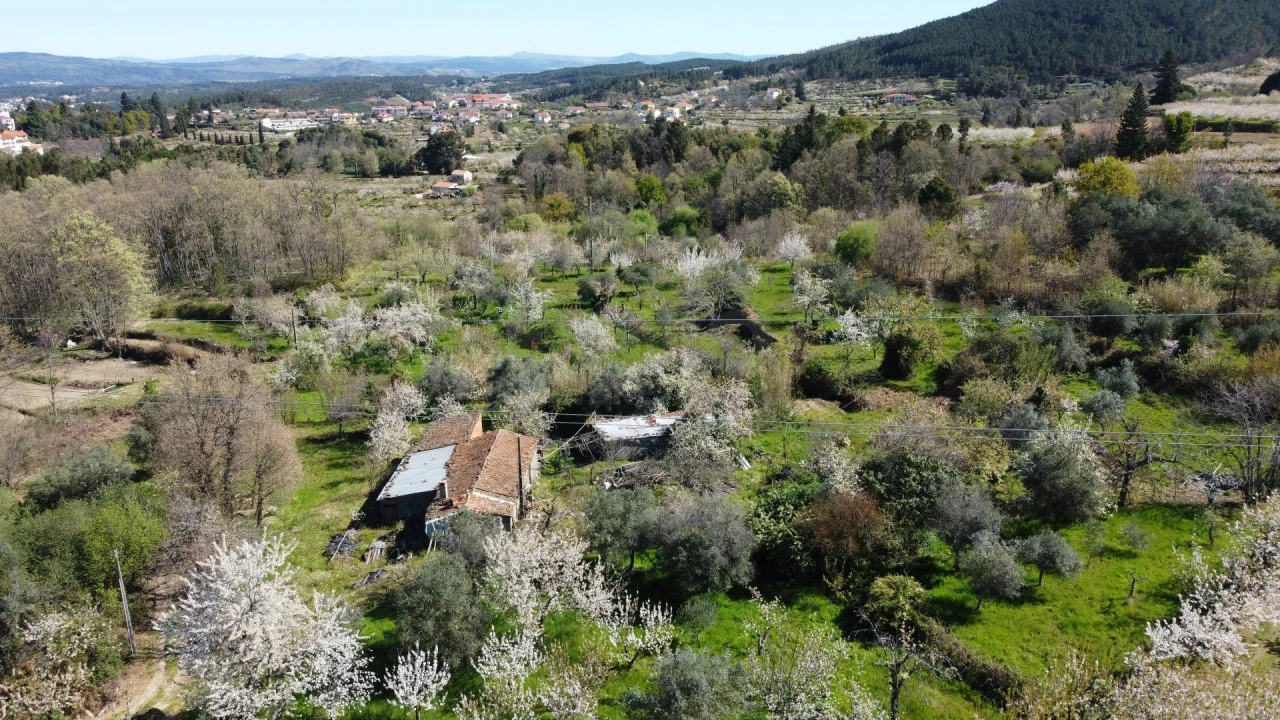 Terreno Agricola ou Rústico para Venda em Alcaide Foto 1