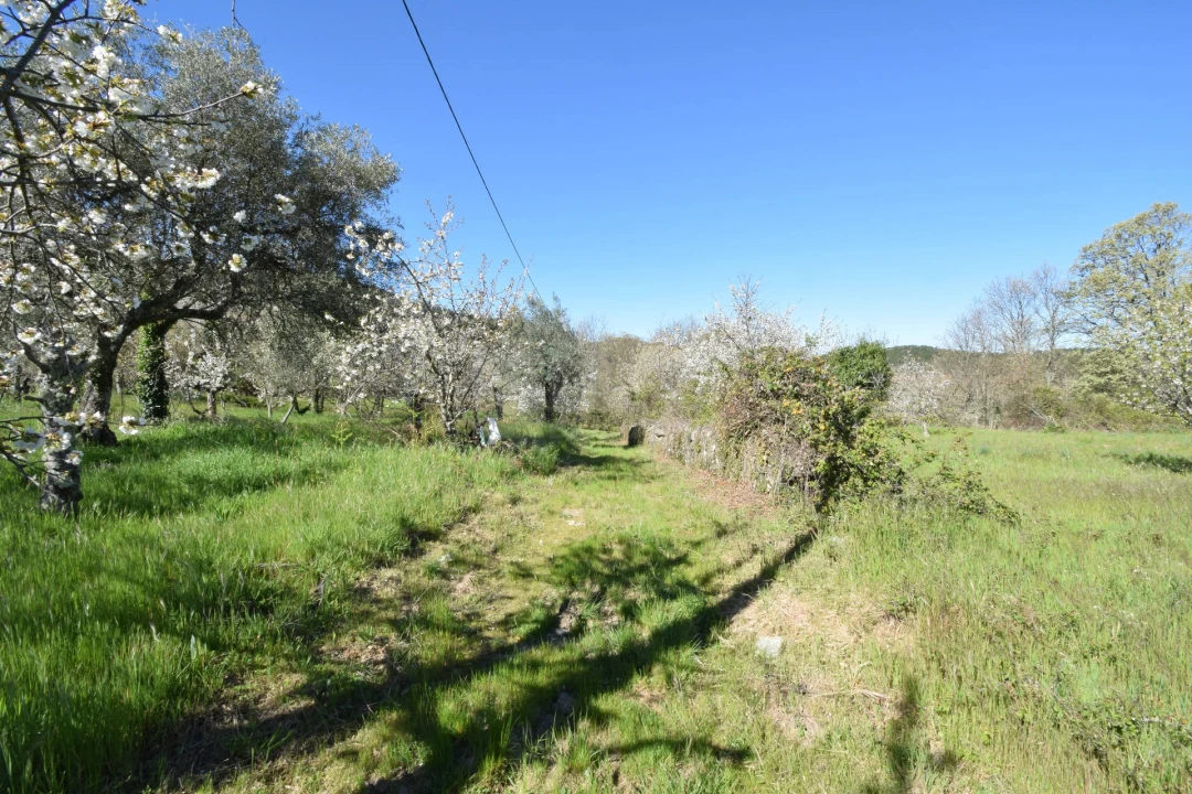Terreno Agricola ou Rústico para Venda em Alcaide Foto 40
