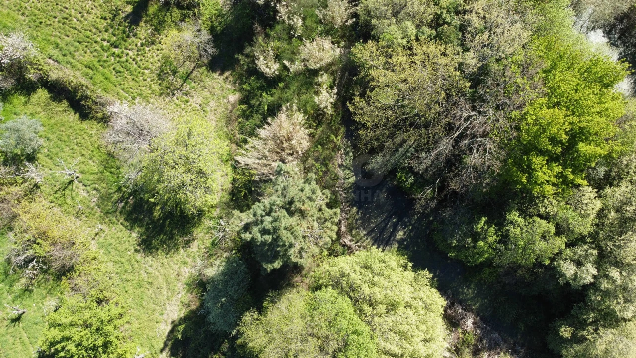 Terreno Agricola ou Rústico para Venda em Alcaide Foto 6