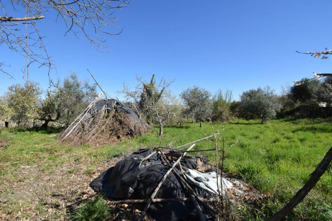 Terreno Agricola ou Rústico para Venda em Alcaide Foto 16