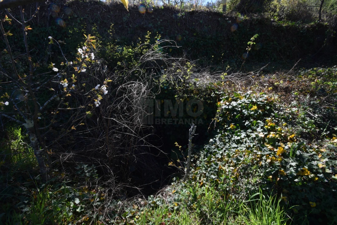 Terreno Agricola ou Rústico para Venda em Alcaide Foto 34