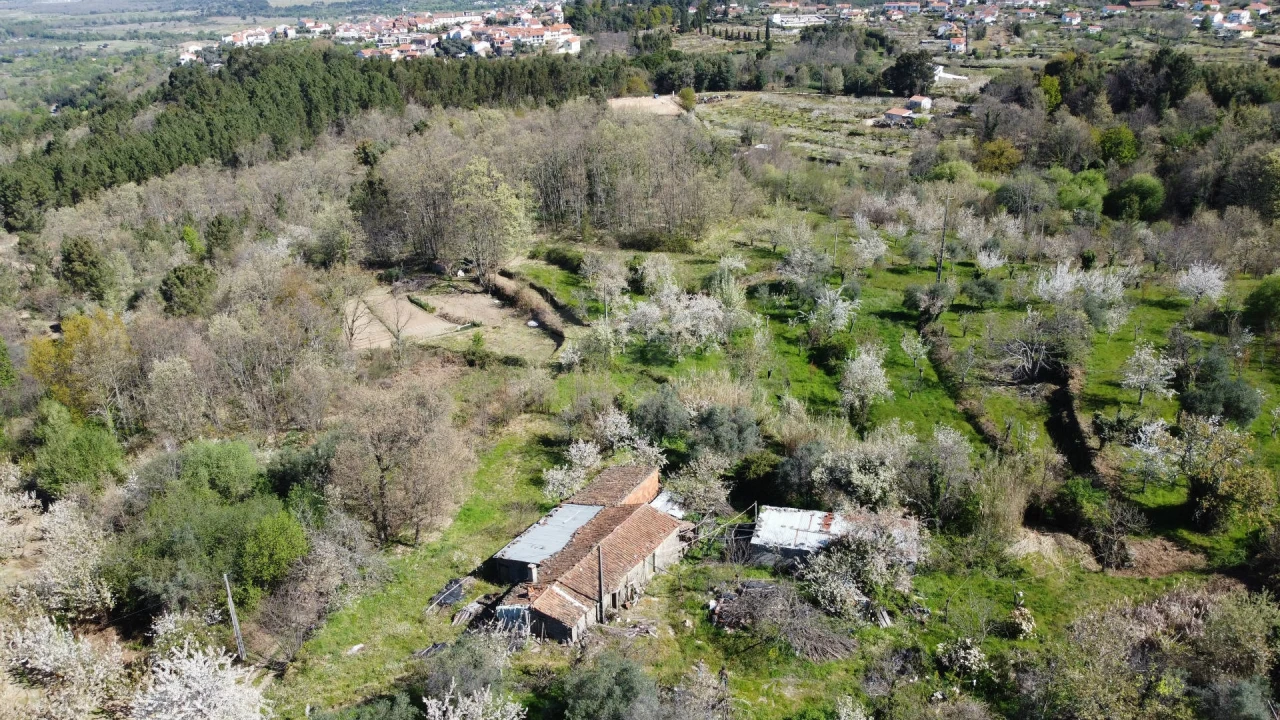 Terreno Agricola ou Rústico para Venda em Alcaide Foto 3