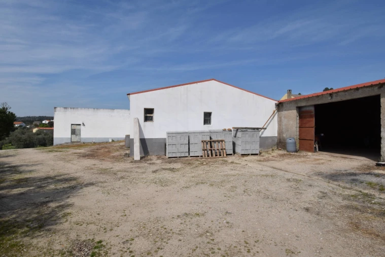 Armazém para Venda em Bendada Foto 11