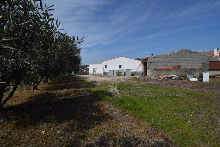 Armazém para Venda em Bendada Foto 13